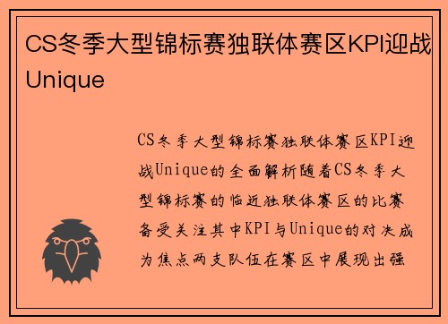 CS冬季大型锦标赛独联体赛区KPI迎战Unique