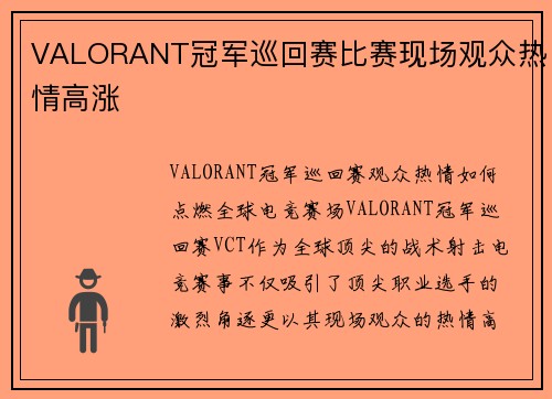 VALORANT冠军巡回赛比赛现场观众热情高涨