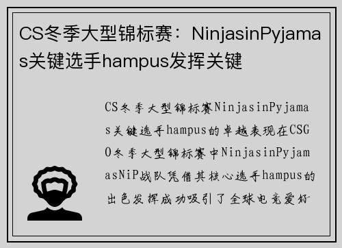 CS冬季大型锦标赛：NinjasinPyjamas关键选手hampus发挥关键